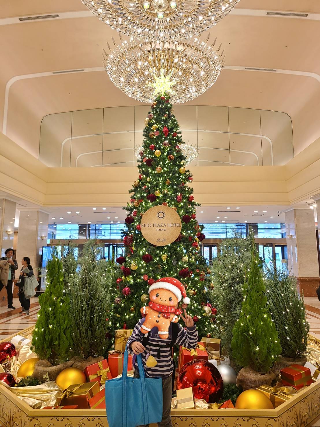 日本皮膚科学会